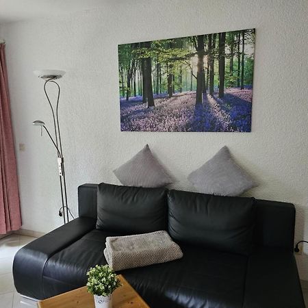 Residenz Schauinsland Todtnauberg - Fewo 17 - Sauna - Spielzimmer Fuer Kinder - Naehe Feldberg Luaran gambar