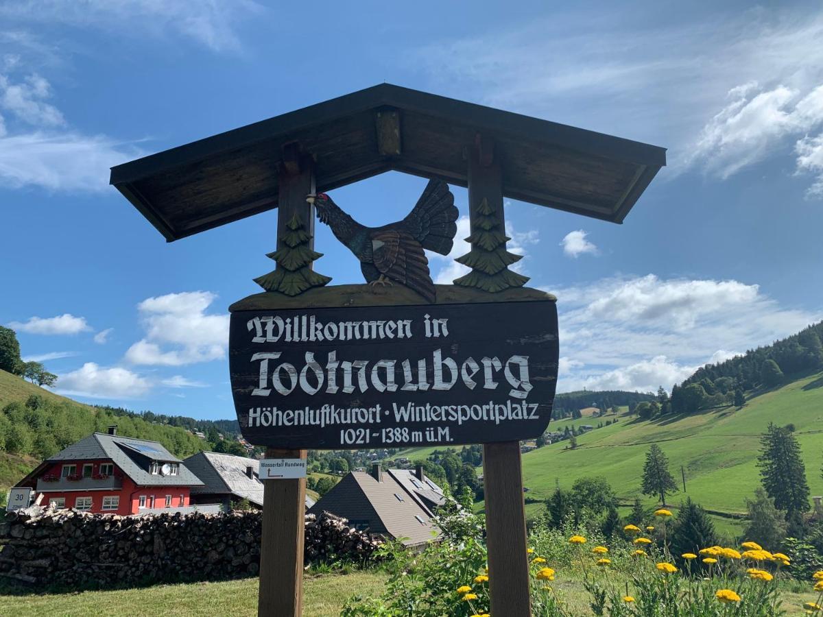 Residenz Schauinsland Todtnauberg - Fewo 17 - Sauna - Spielzimmer Fuer Kinder - Naehe Feldberg Luaran gambar