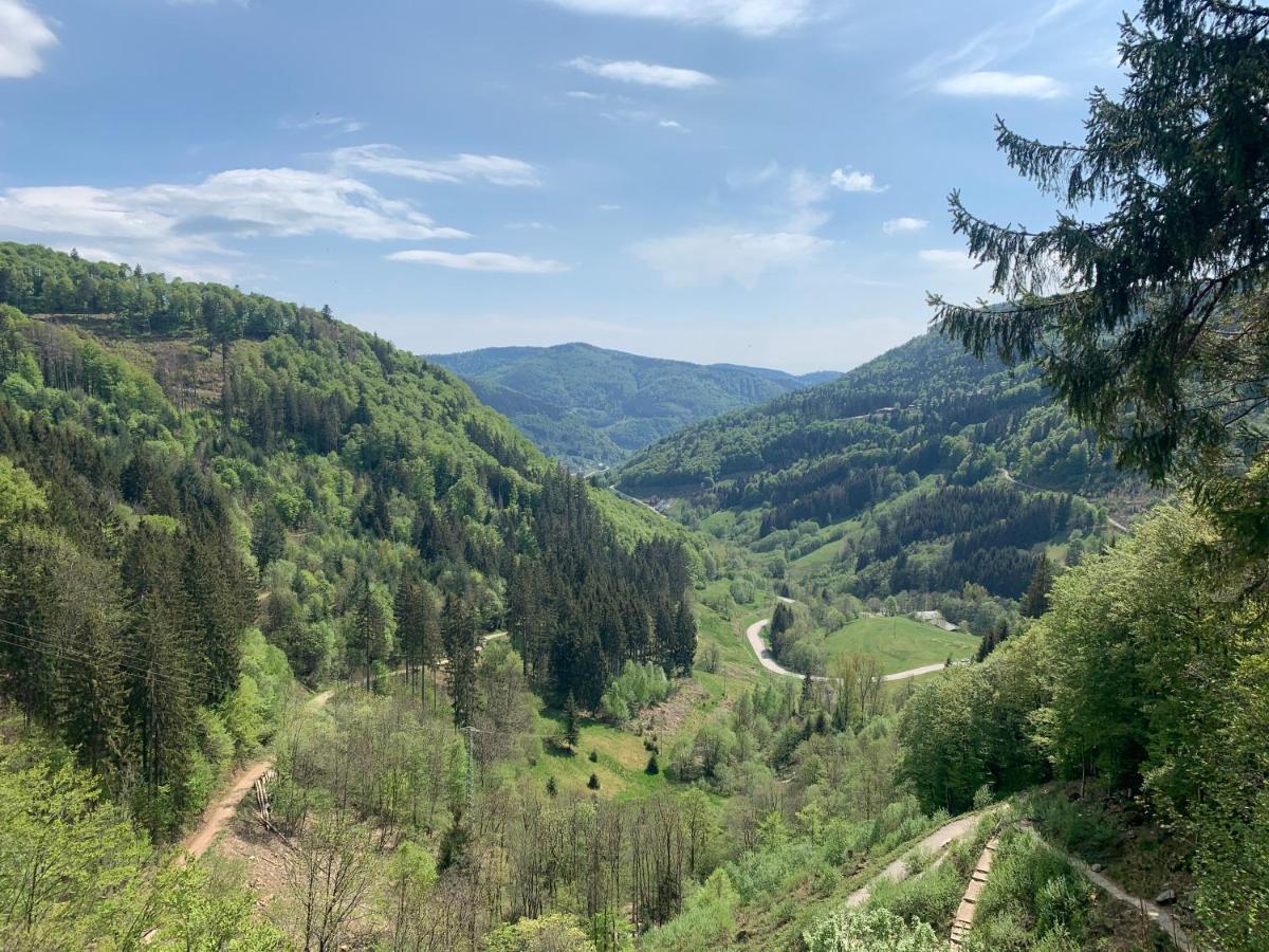 Residenz Schauinsland Todtnauberg - Fewo 17 - Sauna - Spielzimmer Fuer Kinder - Naehe Feldberg Luaran gambar