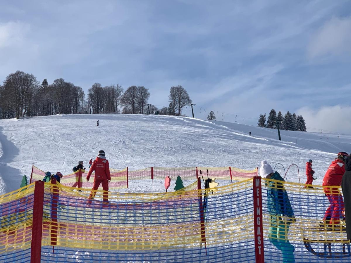 Residenz Schauinsland Todtnauberg - Fewo 17 - Sauna - Spielzimmer Fuer Kinder - Naehe Feldberg Luaran gambar