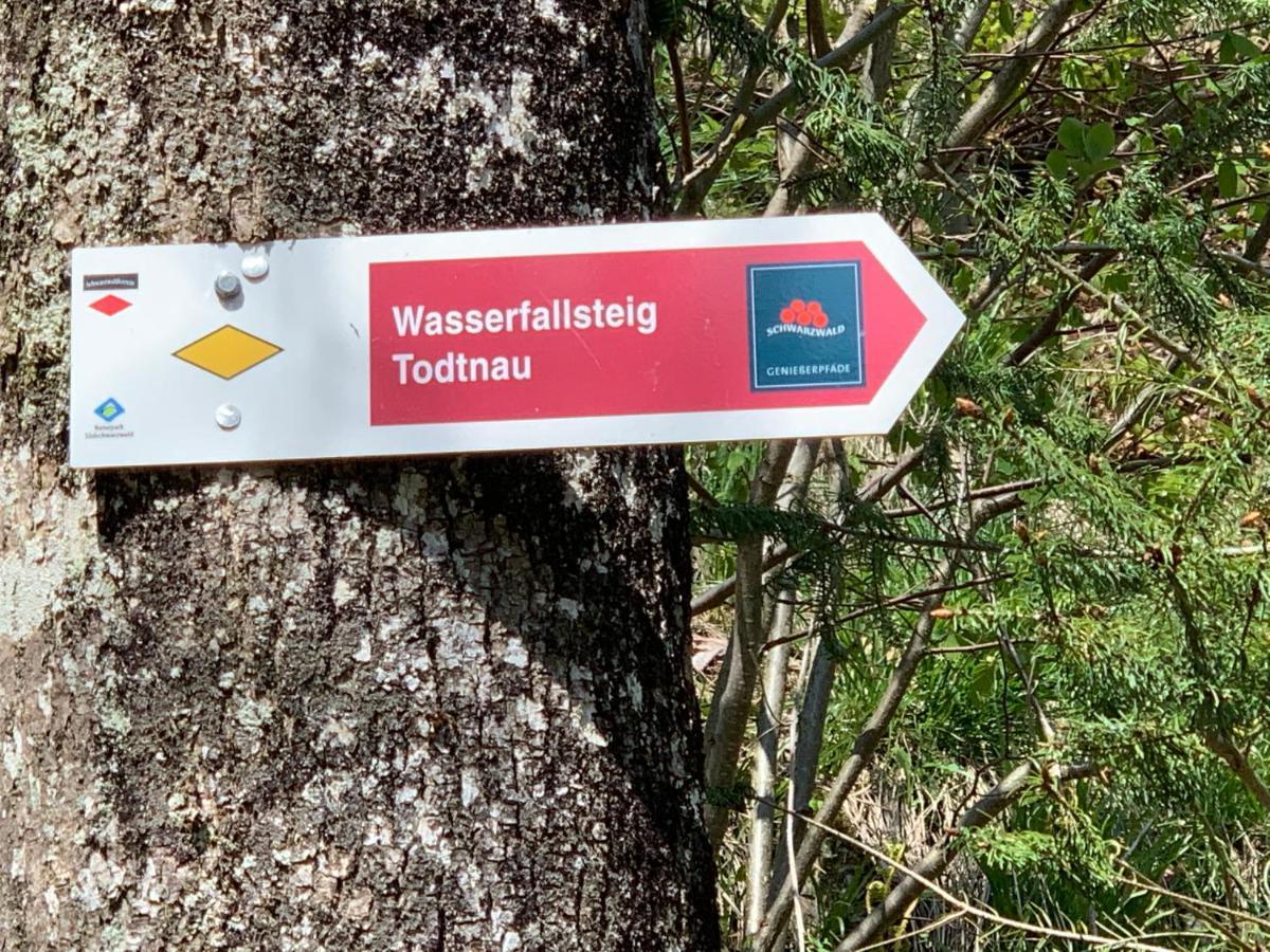 Residenz Schauinsland Todtnauberg - Fewo 17 - Sauna - Spielzimmer Fuer Kinder - Naehe Feldberg Luaran gambar