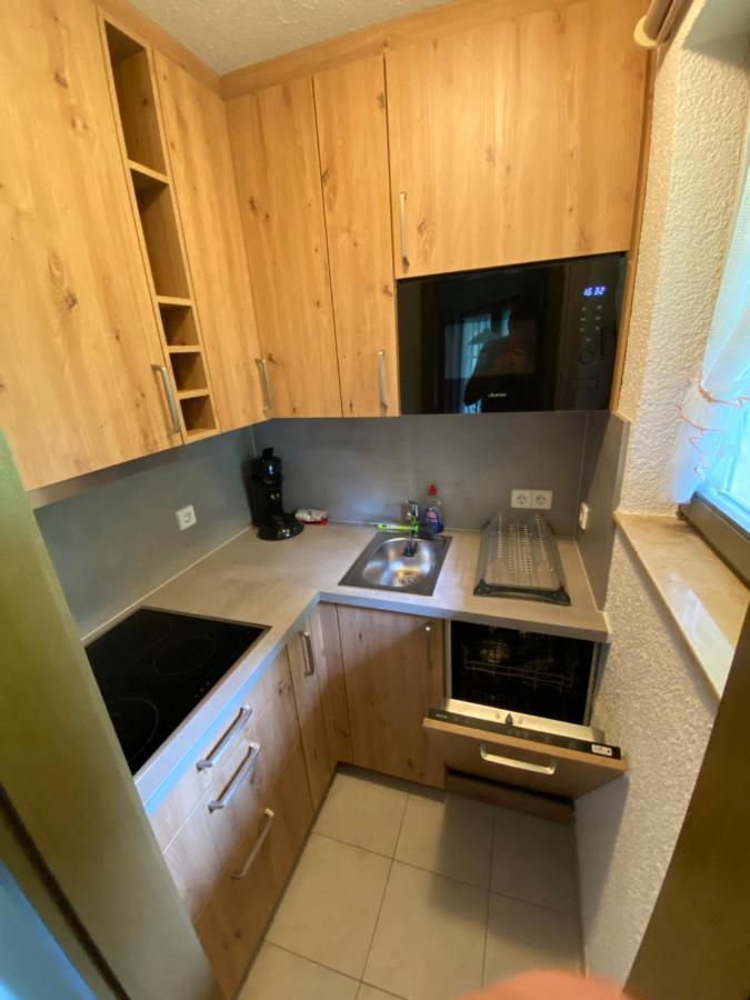 Residenz Schauinsland Todtnauberg - Fewo 17 - Sauna - Spielzimmer Fuer Kinder - Naehe Feldberg Luaran gambar