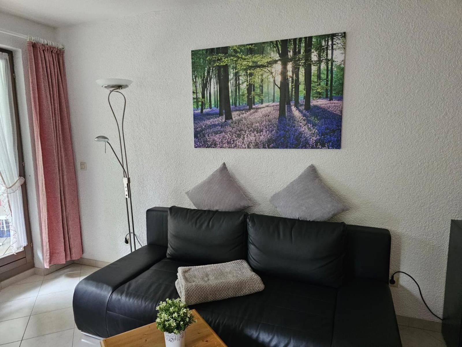 Residenz Schauinsland Todtnauberg - Fewo 17 - Sauna - Spielzimmer Fuer Kinder - Naehe Feldberg Luaran gambar